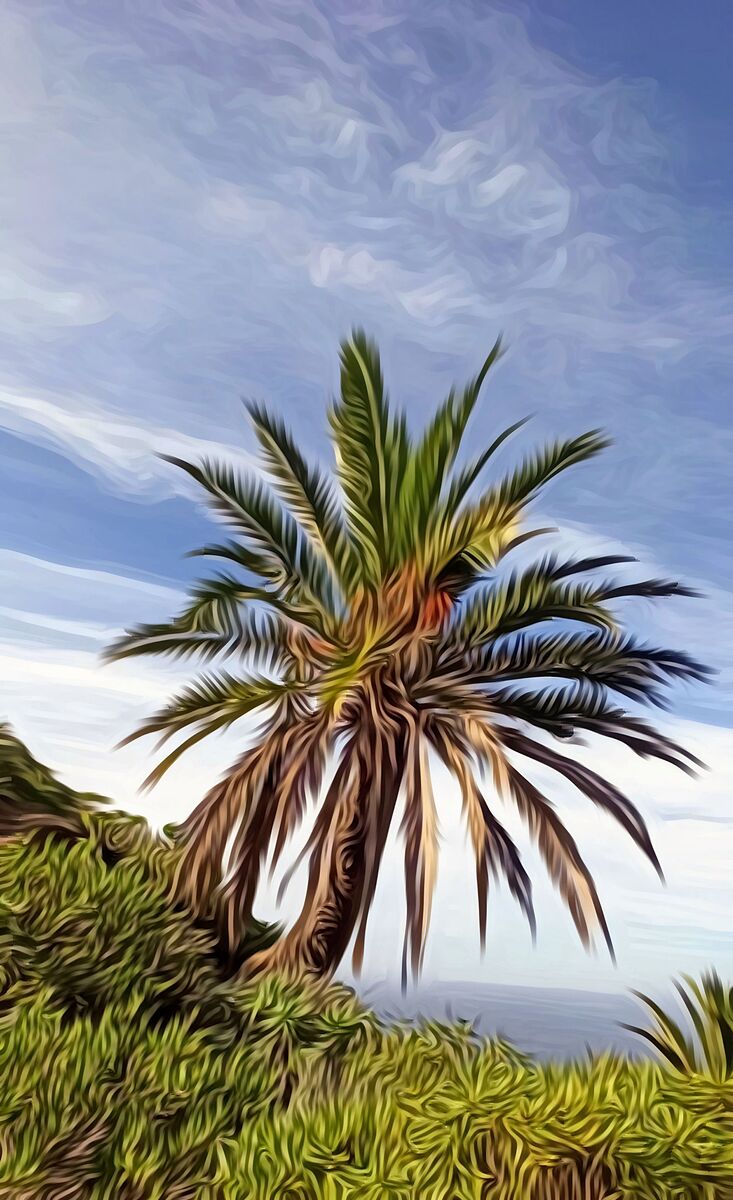 Serene Scene with Palm Tree