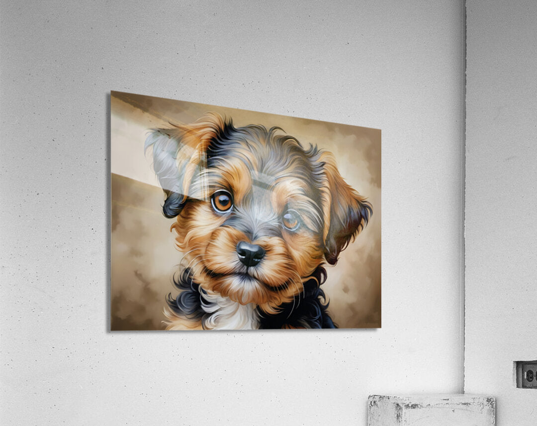 964499 :: Acrylic Print