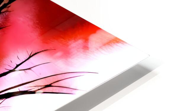 2439878 :: HD Sublimation Metal Print