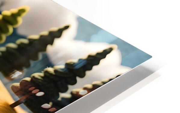 2445442 :: HD Sublimation Metal Print